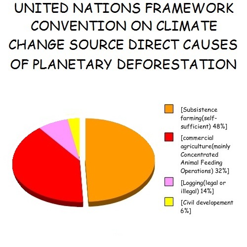 What Causes Deforestation